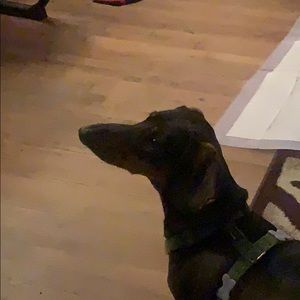 Meet your Posher, Keith